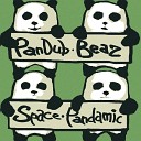 PanDub Bear - Dehli Science