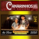 Os Canarinhos do Maranh o - Sofrimento sem fim Ao Vivo