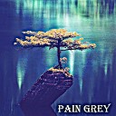 Brian Swann - Pain Grey