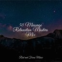 Oasis de D tente et Relaxation Relax Meditation Sleep Echoes of… - Mindful Ambience
