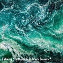 Steve Brassel - Calming Sea Waves Pelicans Sounds Pt 4