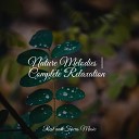 Kinderlieder Superstar Meditation Relaxing Nature… - Sounds from Within