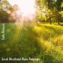 Steve Brassel - Local Woodland Rain Ambience Pt 19