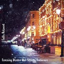 Steve Brassel - Freezing Winter Wet Streets Ambience Pt 6
