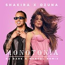 Shakira feat Ozuna - Monotonia DJ Dark Mentol Remix