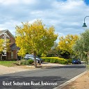 Steve Brassel - Quiet Suburban Road Ambience Pt 9