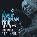David Liebman Trio David Liebman feat Eric Ineke Marius… - Mr P C