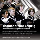 Thomanerchor Leipzig Georg Christoph Biller… - Erschallet ihr Lieder erklinget ihr Saiten