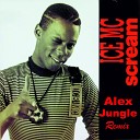 Ice MC - Scream Alex Jungle Remix