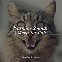 Music For Cats Cat Music Experience Cats Music… - By the Campfire