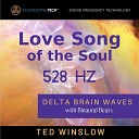 Ted Winslow - Love Song of the Soul 528hz Delta Brain Waves