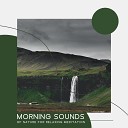 Serenity Nature Sounds Academy - Meditation Rain in the Forest