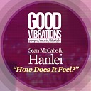 Sean McCabe HanLei - How Does It Feel Sean s Labour of Love Dub