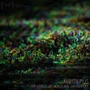 Audionimus - Matrix Bug Report