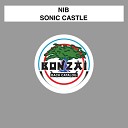 NIB - Sonic Castle