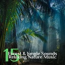 Nature Sounds Universe - Piano Sounds in Forest