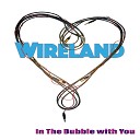 Wireland - Not Like I Do