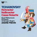 Andr Previn Royal Philharmonic Orchestra - Tchaikovsky The Nutcracker Op 71 Act II No 14c Pas de deux Variation II Dance of the Sugar Plum…