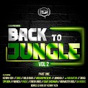 Kenny Ken - Back to Jungle LP Vol 2 Pt 1 Continuous DJ…