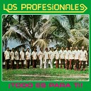 Los Profesionales - No Me Celes