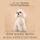 Jazz Instrumental Relax Center - Saxophone Lounge