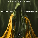 Dialective Transforma - Soul Reaper