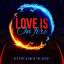 Dee Pete Brixx The Artist - Love Is On Fire