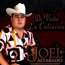 Joel Alvarado - De Visita en Culiacan