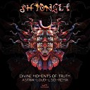 Shpongle - Divine Moments of Truth Astrix Loud The Lost Secret Door…