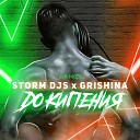 Storm DJs Grishina - До кипения Dance Edit