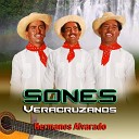 Hermanos Alvarado - La Guacamaya