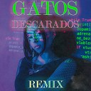 Дора - Gatos Descarados Remix 2020