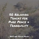 Yoga Soul Music to Relax in Free Time Chakra Meditation… - Sweet Summer Breeze