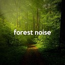 Sensitive ASMR - Forest Noise