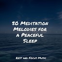 Pet Care Music Therapy Baby Sleep Lullaby Academy Meditation… - Song of Solitude
