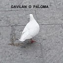 Pepe Rojas - Gavil n o Paloma Cover