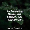 Lullabies for Deep Meditation Natureza Musica Bem Estar Academia Schlaflieder Fur… - Relaxing Harmonies