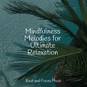Study Concentration Zen Meditate Sleep Music - The Sea and the Sand