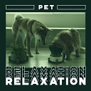 Pet Music Academy - Relaxing Melody Bells