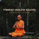 Buddhism Academy - Meditate Mindfulness