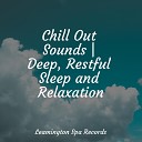 Nature Sounds for Relaxation and Sleep Natural Sounds Deep Sleep… - A Brief Connection