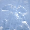 Артем Бигзи - Ангел на снегу