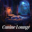 Music for Sleeping Puppies - Tapped into the Depths of Knowledge