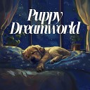 Sleeping Music For Dogs - Frostvine Facials Sauna