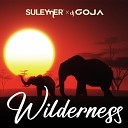 Suleymer feat DJ Goja - Wilderness