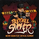 Buddah Smoker MIKE ROJAZZ feat CRITICAL… - Never Again