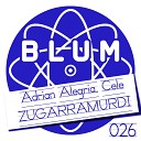 Adrian Alegria - Zugarramurdi Original Mix