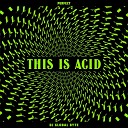 DJ Global Byte - This Is Acid Short Cut Mix