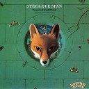 Steeleye Span - Following Me