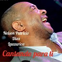 Nelson Patricio Diaz Lauzurica - Los Aretes de la Luna